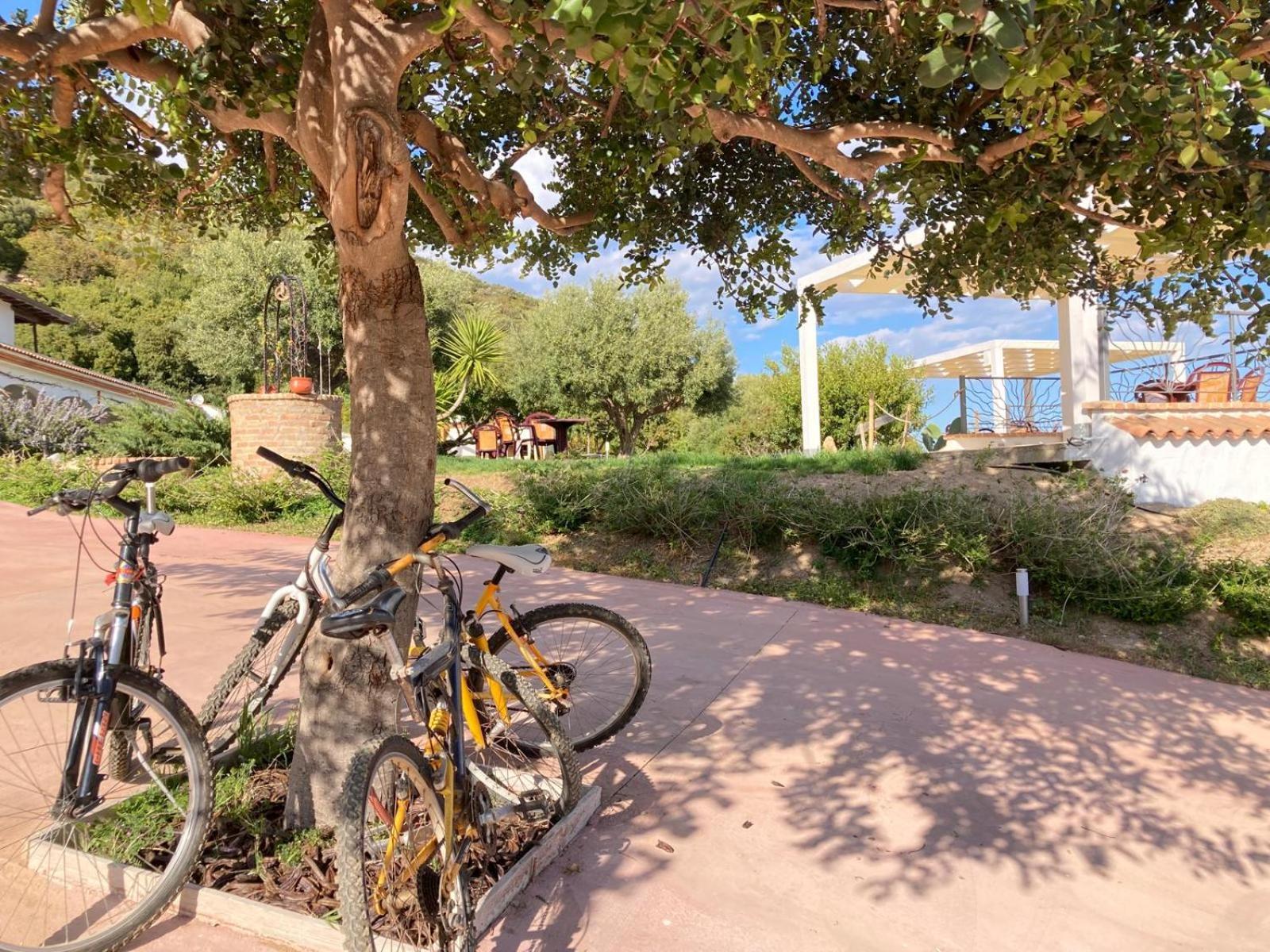 Hotel Essenza Di Mirto La Caletta Εξωτερικό φωτογραφία