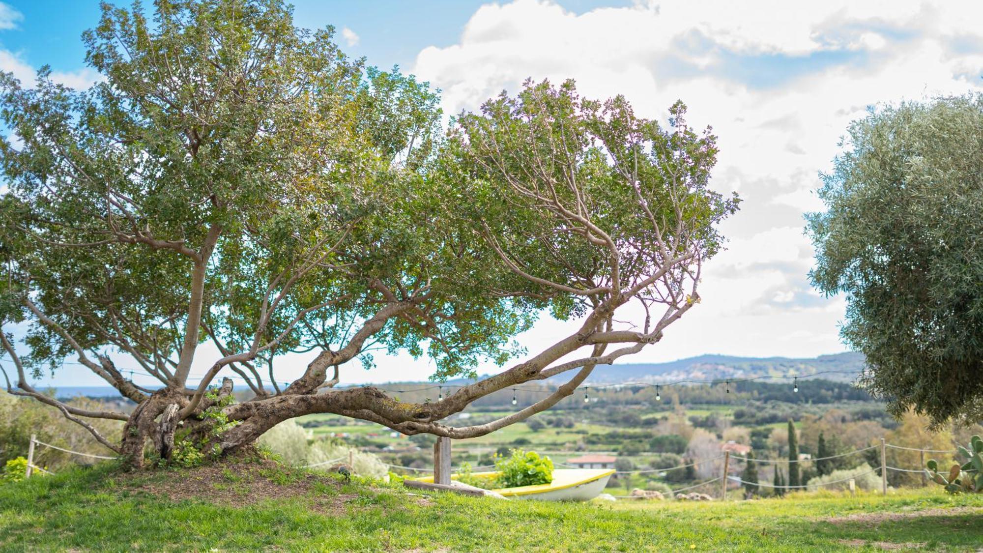 Hotel Essenza Di Mirto La Caletta Εξωτερικό φωτογραφία